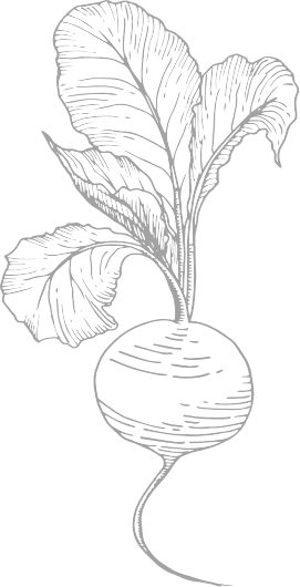 Vector Smart Object